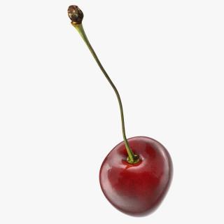 3D Realistic Cherry with Stem