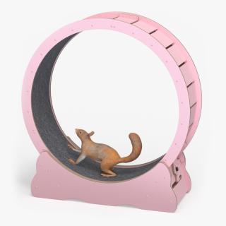 Squirrel in Pet Running Wheel 3D model