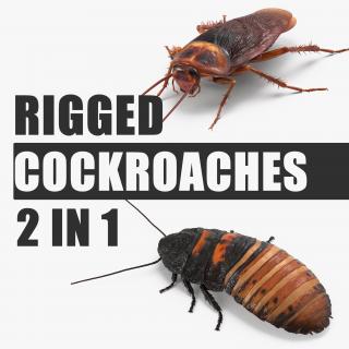 Rigged Cockroaches 3D Models Collection 3D model