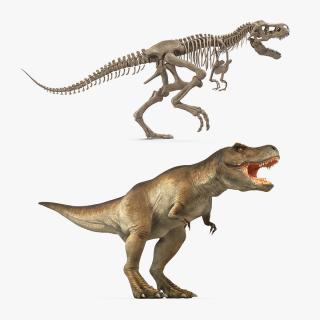 3D Tyrannosaurus Rex with Skeleton Fossil Rigged Collection