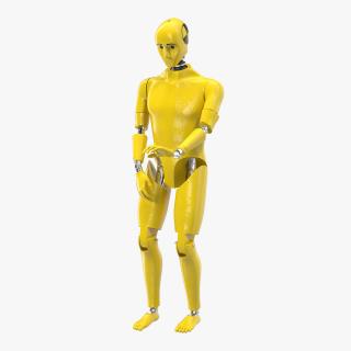 3D Crash Test Dummy Rigged model