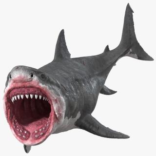 3D model Megalodon Aggressive Pose