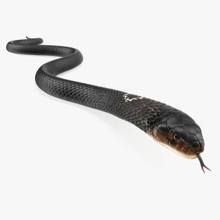 3D model Dark Cobra Snake Crawling