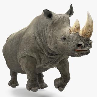 3D Rhino Running Pose model