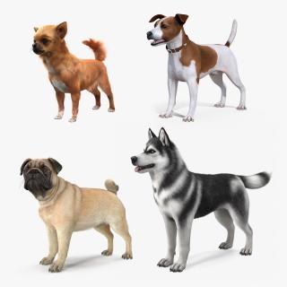 Dogs Collection 3 3D