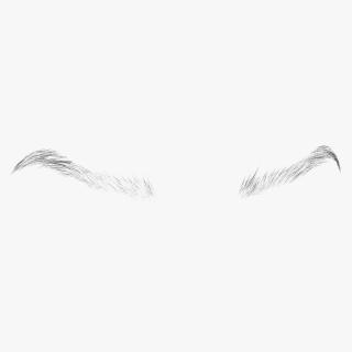 S Shaped Eyebrows 3D