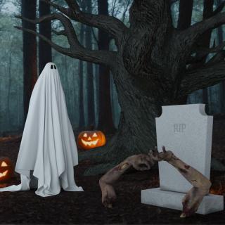 Halloween Scary Decoration Collection 3D