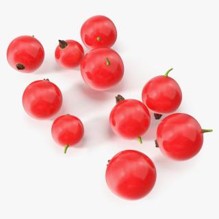 Red Currant Berries 3D model