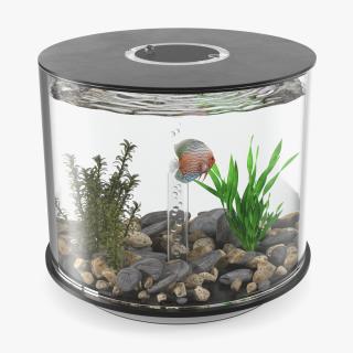 Black Cylinder Fish Tank 3D model