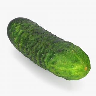 3D model Cucumber