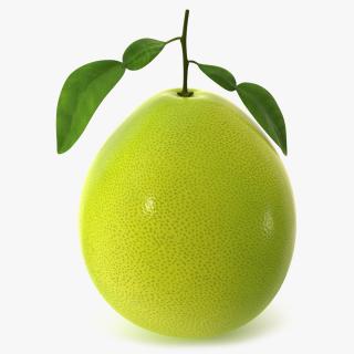 3D Green Pomelo Fruit model