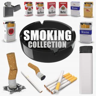 3D Smoking Collection model