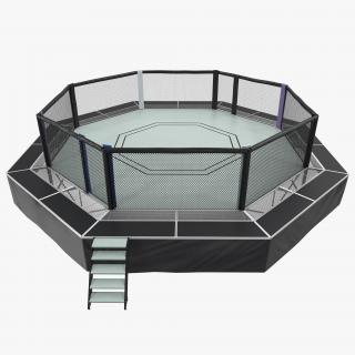 Fighting Octagon Arena 3D