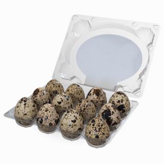 Quail Eggs in Open Box 3D