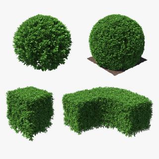 3D Decorative Shrubs Collection model