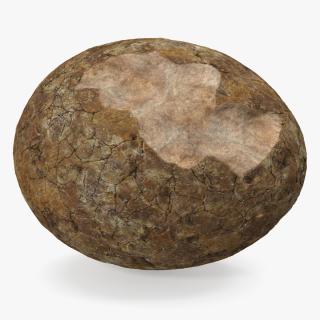 3D Dinosaur Egg Ancient Stone