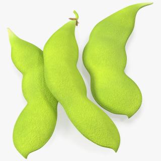 Edamame Green Soybeans Closed 3D model