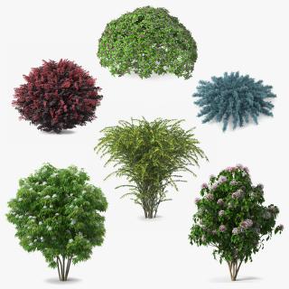 Bushes Collection 5 3D model