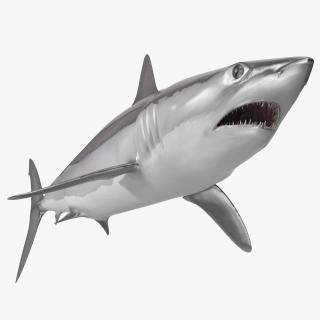 Realistic Shortfin Mako Shark 3D model