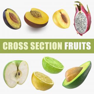 3D Cross Section Fruits Collection 3 model