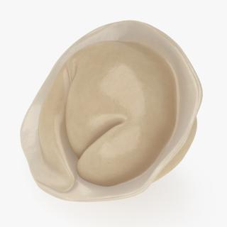 3D Pelmeni Dumpling Cooked model