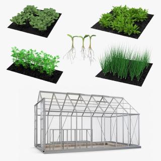 3D Garden Greenhouse with Grows Collection 3