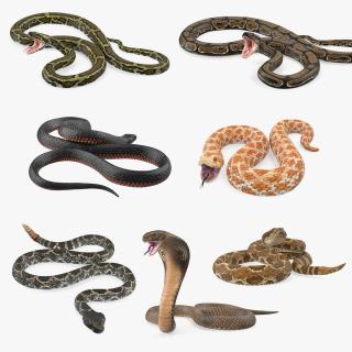 3D Rigged Snakes Collection 5