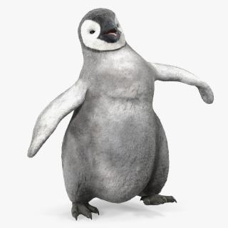 Baby Emperor Penguin Rigged 3D