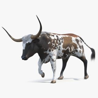 3D model Mottled Brown Longhorn Bull Walking Pose