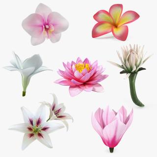 3D Flowers Collection 11