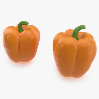 Bell Pepper Orange Sun 3D