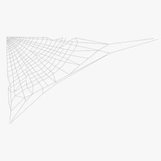 Corner Spider Web 3D