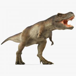 3D model Tyrannosaurus Rex Walking