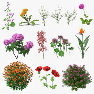 Flowering Plants Collection 7 3D model