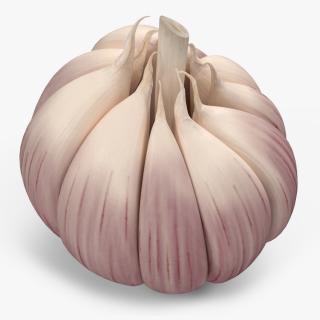 3D model Head of Garlic White