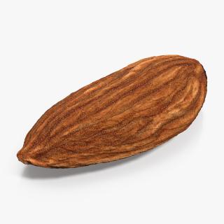 3D model Dry Almond