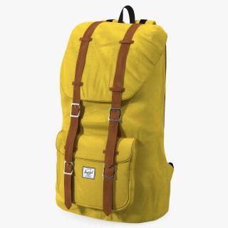 Classic Urban Backpack 3D