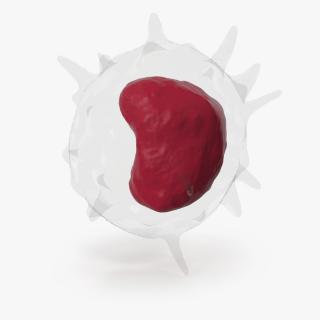 Monocyte Blood Cell 3D model