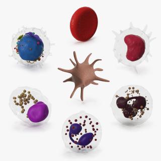 Blood Cells Collection 5 3D model