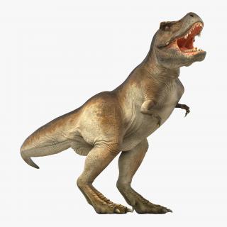 Tyrannosaurus Rex Rigged 3D model