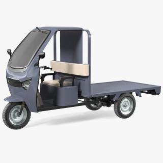 3D Three Wheeler Cargo Rickshaw model