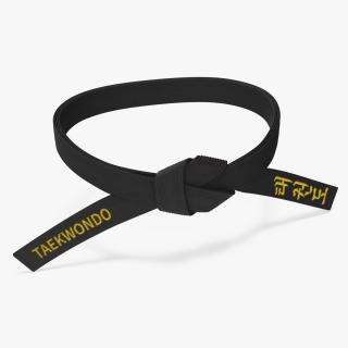 3D model Taekwondo Waist Black Obi Belt