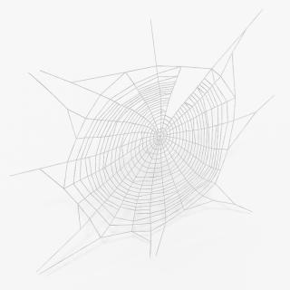 3D Spider Web in Circle Shape