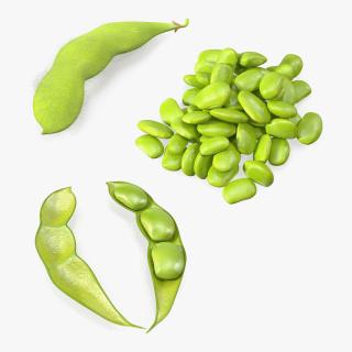 Green Soybean Pods Collection 3D model