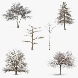 3D model Winter Trees Collection 7