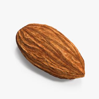 3D model Almond