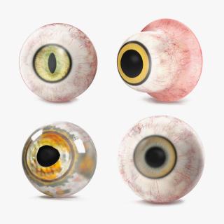 Realistic Animal Eyes Collection 4 3D model