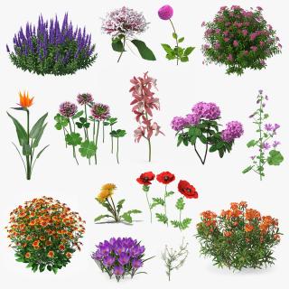 3D model Flowering Plants Collection 11