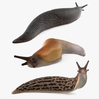 3D Slugs Collection