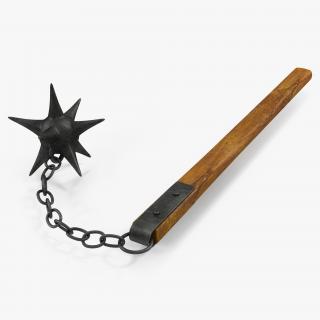 Long Spiked Flail 3D